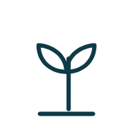 Sprout, a seedling with two leaves